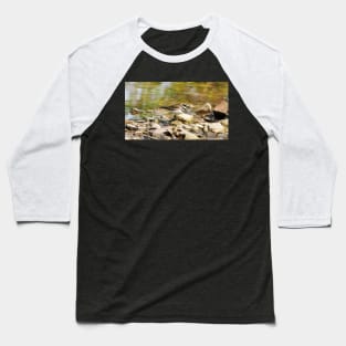 Killdeer Exploring On Some Rocks Baseball T-Shirt